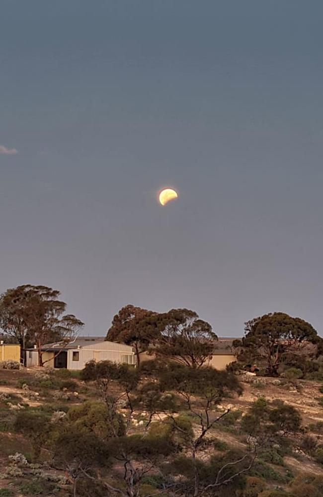 The Blood Moon from SA: Wayne Holly