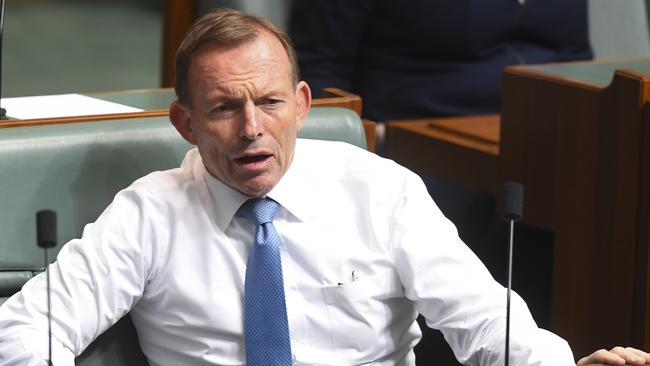 Tony Abbott in federal parliament yesterday. Picture: AAP