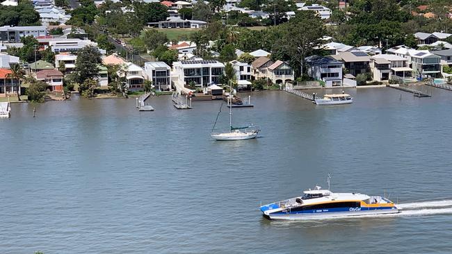 Reader Paul Spottiswood snapped these pics from his Hamilton apartment balcony today about 11.30am, showing how high the tide rose. The home owners across the river would be breathing a sigh of relief as water lapped dangerously close to the top of their riverbank walls. 