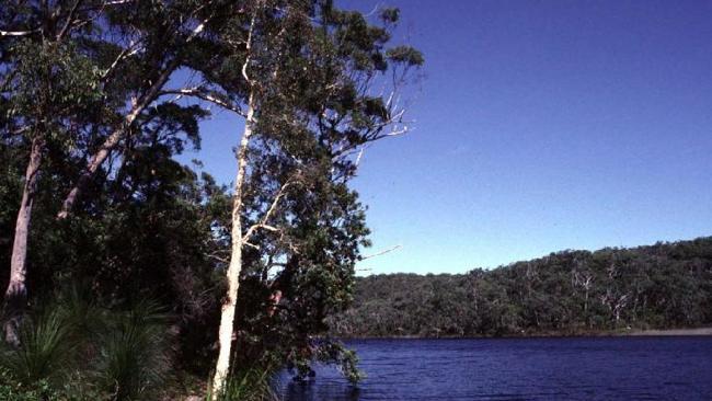 Blue Lake on North Stradbroke Island has remain unchanged for thousands of years, despite changes in the climate.