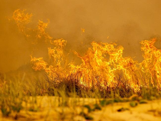 Fire burning on Queensland’s Fraser Island. Photo: ABC Sunshine Coast