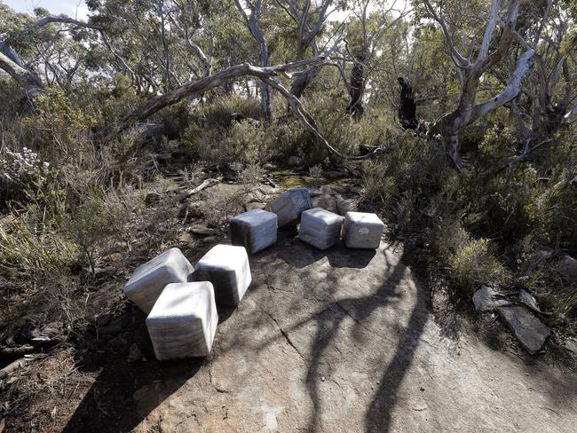 Day 2. One of the “Encounters” called Who Was Here? about wombat and other animal scat. Three Capes Track walk. PICTURE: Richard Jupe