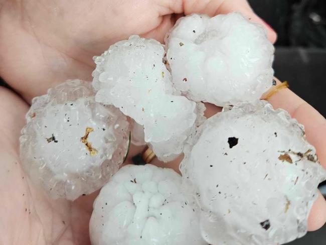 five centimetre hail in Rutherford NSW. Picture: Facebook