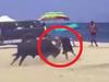Shock moment woman gored by bull on beach