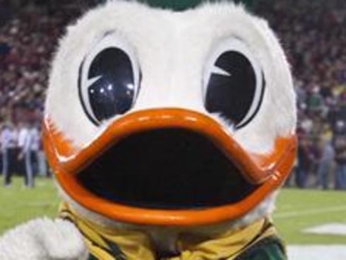 Mascot duck cruising for Tinder date