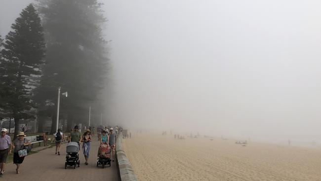 Manly Beach shortly before 11am this morning.