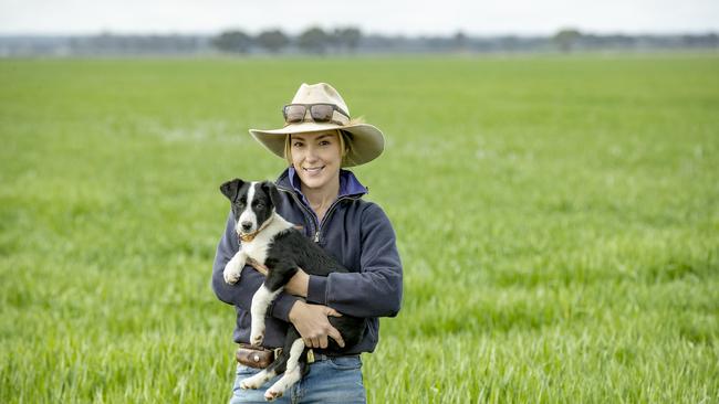 Harlee Tuohey pictured at Raywood with the Border Collie puppy named Maizy. Picture: Zoe Phillips