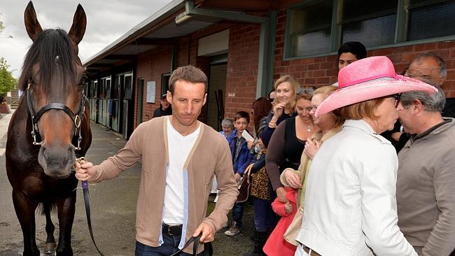 Damien Oliver leads out Melbourne Cup favourite Fiorente with Gai Waterhouse at her Flemington stables. Picture: Jay Town