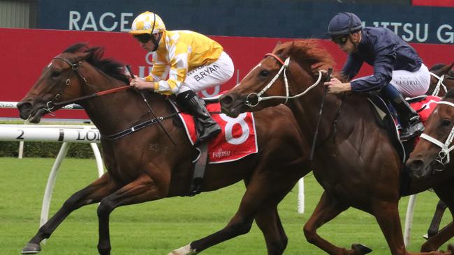 Lady Of Luxury (yellow) will also head to the Gold Coast next month to contest the Magic Millions Rising Stars Fillies and Mares on January 8. Picture: Grant Guy