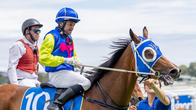 Manoel Nunes returns to scale aboard Vintage Star at Morphettville. Picture: Makoto Kaneko