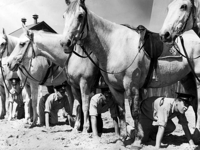 1956: New cadets crawl under police greys during training in South Australia.