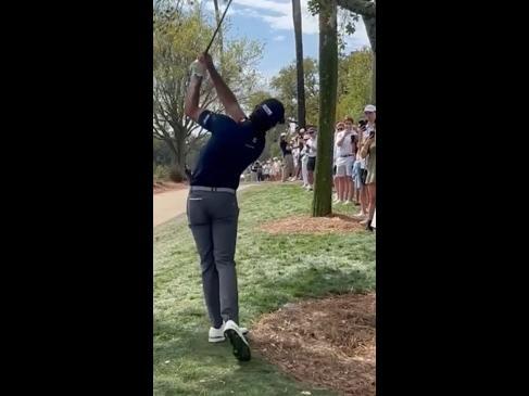 Spectators forced to take cover after rogue golf ball almost takes them out