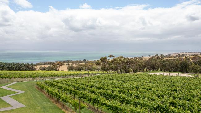 Jack Rabbit Vineyard on the Bellarine (Photo : Ginger + Mint)