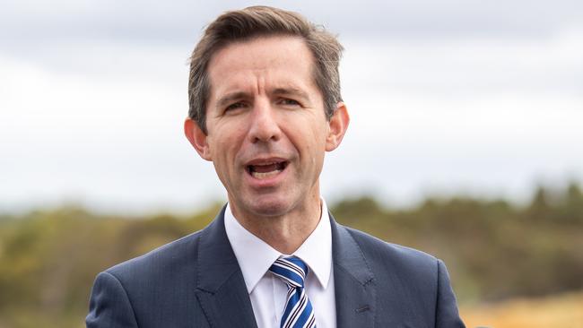 Trade Minister Simon Birmingham. Picture: AAP