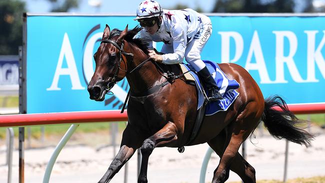 Jockey Luke Currie rides Sunlight to win race 2, the QTIS Two-Years-Old Handicap, during the Ladies Day Raceday at Aquis Park on the Gold Coast. Picture: AAP Image, Albert Perez.