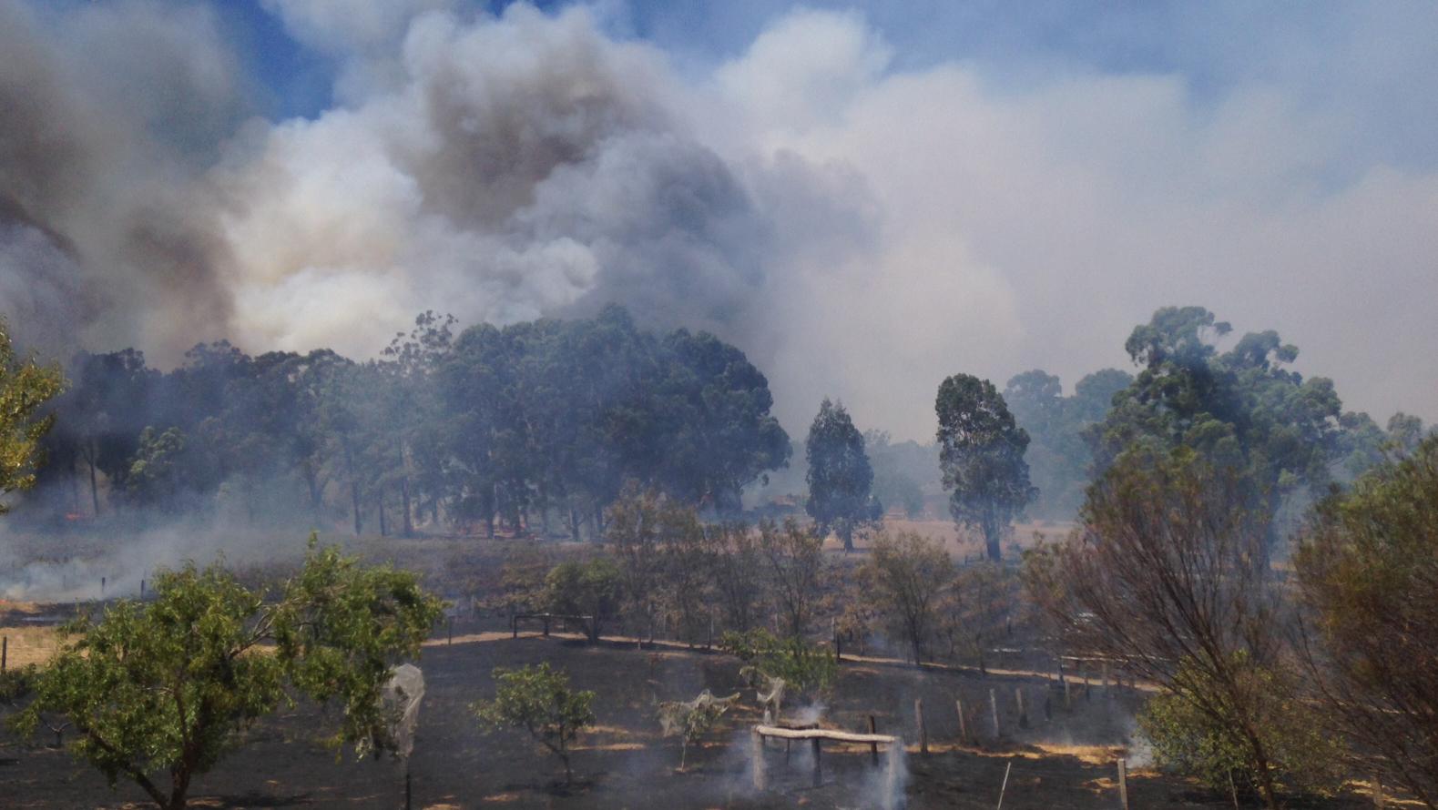 Western Power ‘ incompetence’ blamed for Parkerville bushfire | news ...