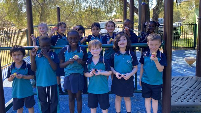 30/08/2024 - Transition & Year 1:Back row: Iona, Ana, Aata, Billy-Joe, Tasmyn, Noah, DesireFront row: Tuariri, Simeon, Nyakuiy, Jeremiah, Jordan, Allister.Taking a photo with their pet rock that they made. Picture: Mrs Yvette Goodlet
