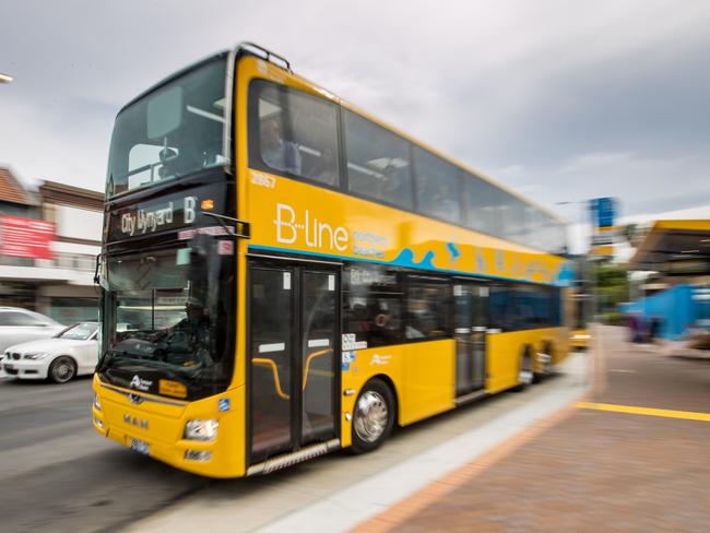 The B-Line began operating between the northern beaches and the city — via Cremorne and Neutral Bay — last November.