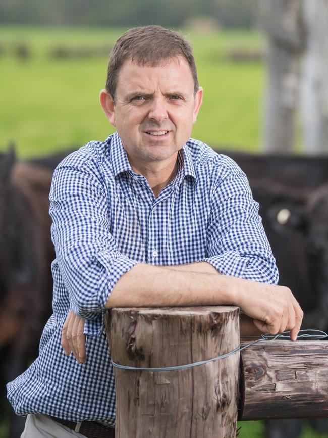 MacKillop MP Nick McBride. Picture: Tom Huntley