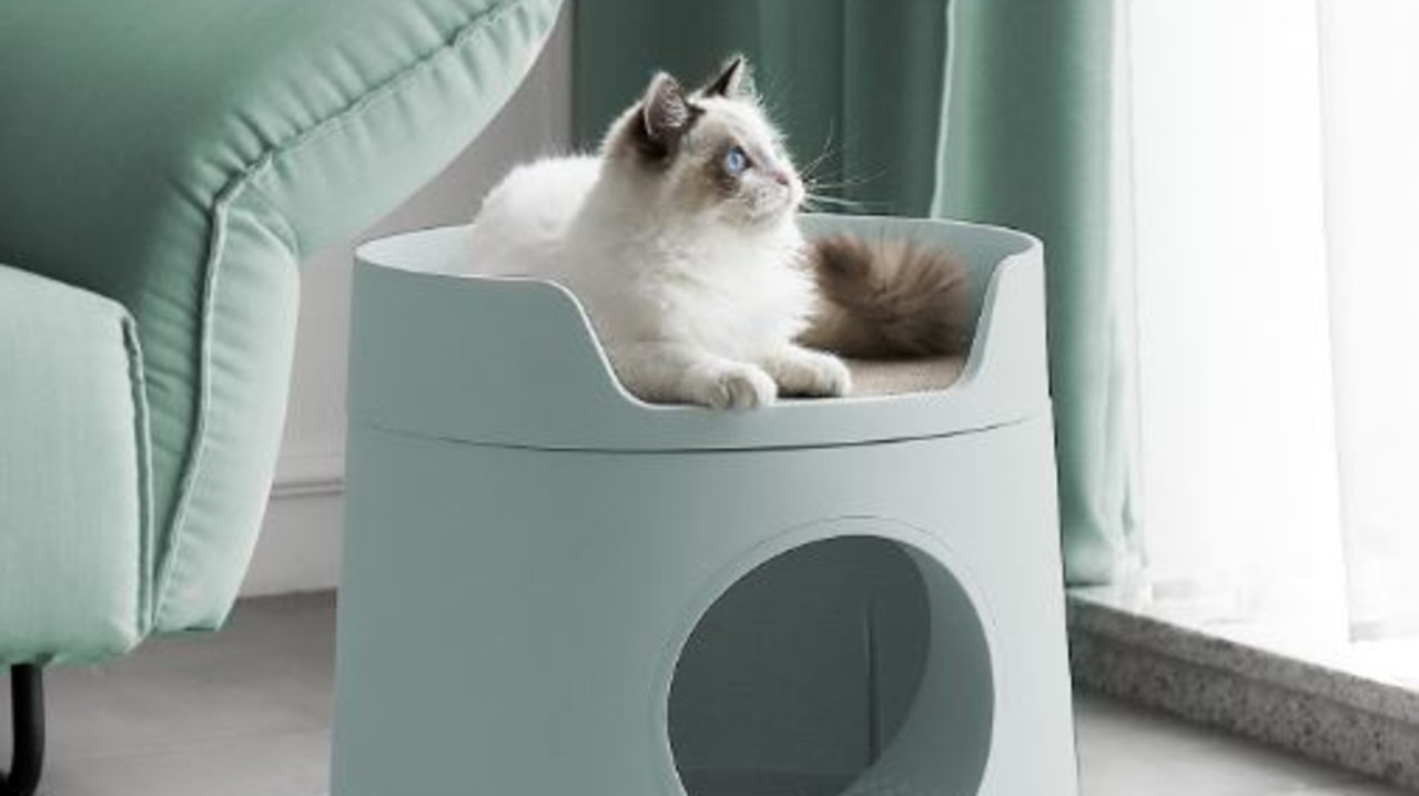 6 Best Self Cleaning Cat Litter Boxes To Buy In 2021 News Com Au Australia S Leading News Site
