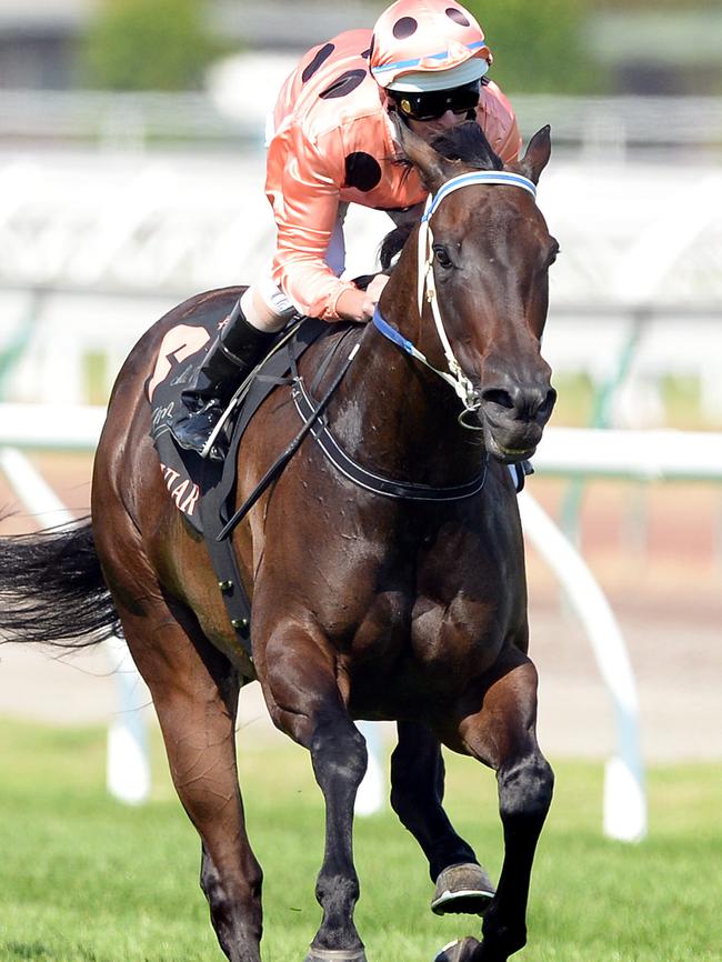 Black Caviar. Picture: Wayne Ludbey