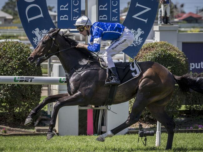 Jockey Ryan Plumb wins race 5, the Bucher Municipal Class 3 Plate, on Freddie Fox Trot during the Suez Raceday on Cox Plate Day day at Doomben Racecourse in Brisbane, Saturday, October 28, 2017. (AAP Image/Glenn hunt) NO ARCHIVING; EDITORIAL USE ONLY