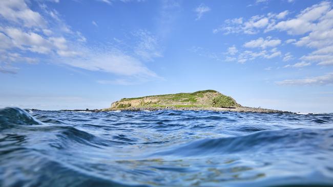 Cook Island off Fingal on the Tweed Coast and the waters surrounding it provide some great photographic opportunities both above and below the waves. Photo: RYAN FOWLER