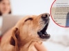 Neighbours' bizarre note about dog's 'obnoxious' barking
