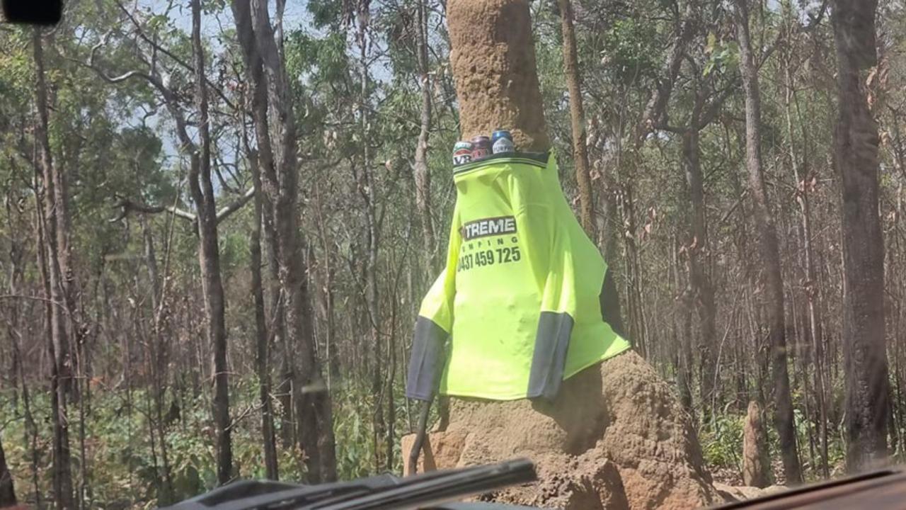 A dressed up termite mound at Cape York. Picture: Supplied