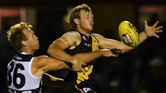 Glenelg forward line target and 2016 club champion Josh Scott. Picture: Naomi Jellicoe