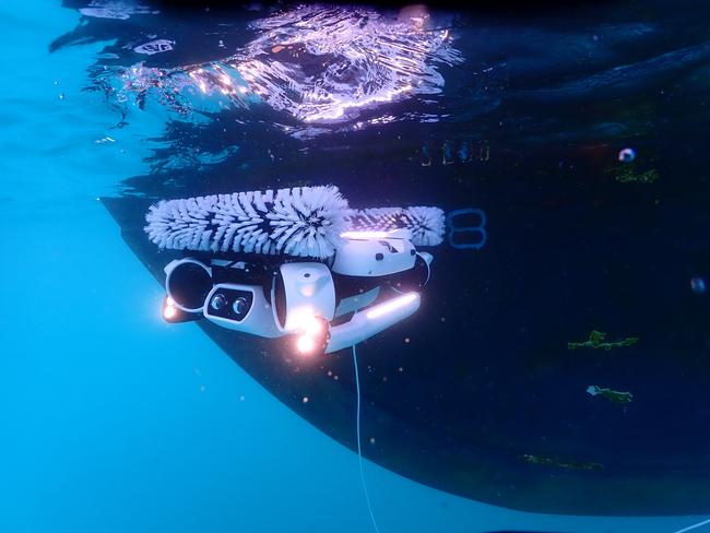 An AI-powered robot, made by Sydney firm Hullbot, is being used to clean the hulls of the Manly Fast Ferry fleet, resulting in a 13 per cent drop in fuel costs. Picture: Supplied