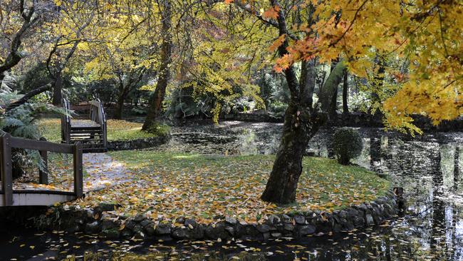 The lake bursting with autumn colour in 2012.