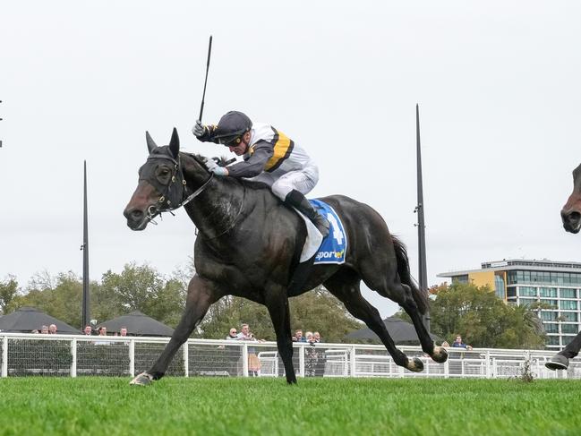 Here To Shock (NZ) ridden by Daniel Stackhouse wins the Sportsbet Victoria Handicap at Caulfield Racecourse on April 06, 2024 in Caulfield, Australia. (Photo by George Sal/Racing Photos via Getty Images)