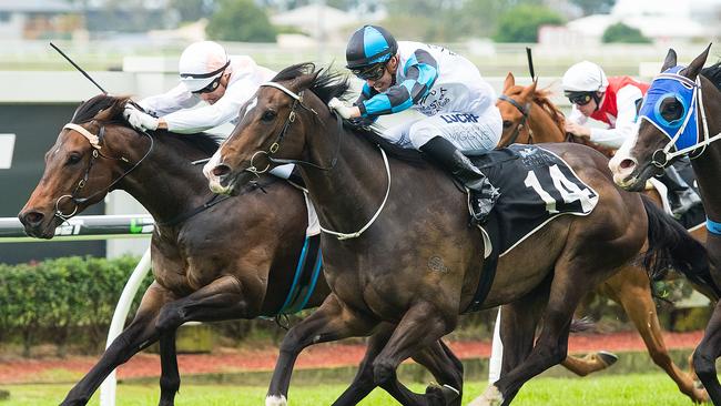 Queensland racing could come to a halt on Cox Plate and Melbourne Cup Day. Picture: AAP