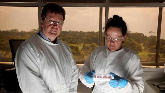 Professor Trevor Drew, at CSRIO's Australian Animal Health Laboratory in Geelong, with experimental scientist Christina Rootes. Picture: Stuart McEvoy/The Australian