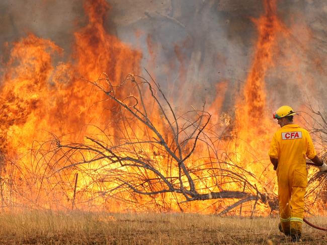 Beechworth bushfires. Black Saturday. Fire. Mudgegonga region. A CFA firefighter walks towards the roaring flames finding he has no water coming from the hose defending a property near the Pinnacles on Blacks Flat Road. Mudgegonga