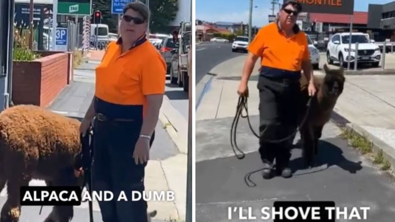 ‘Big dog, mate’: Tasmania video goes viral