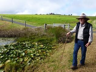 Guide Russell Moreton during a bush tucker walk at Spicers Peak Lodge at Maryvale in the Scenic Rim in the Southern Downs region in Queensland. Picture: Angela Saurine