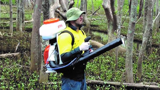 A Tweed Shire council worker fogging to reduce mosquito numbers.