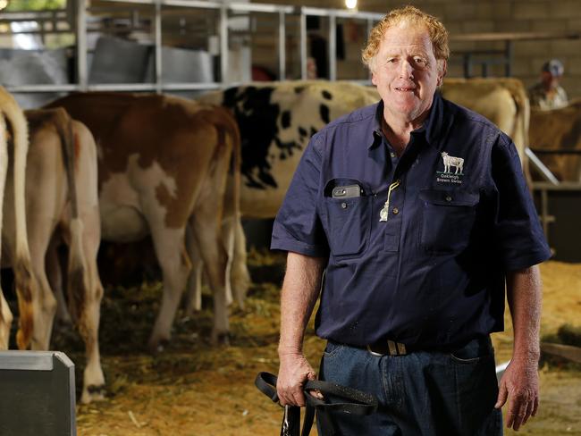 Dairy Farmer Joe Bradley posing with his cows at the Ekka, Brisbane 13th of August 2019.   The numbers of dairy farmers at the Ekka are dwindling.  (AAP Image/Josh Woning)