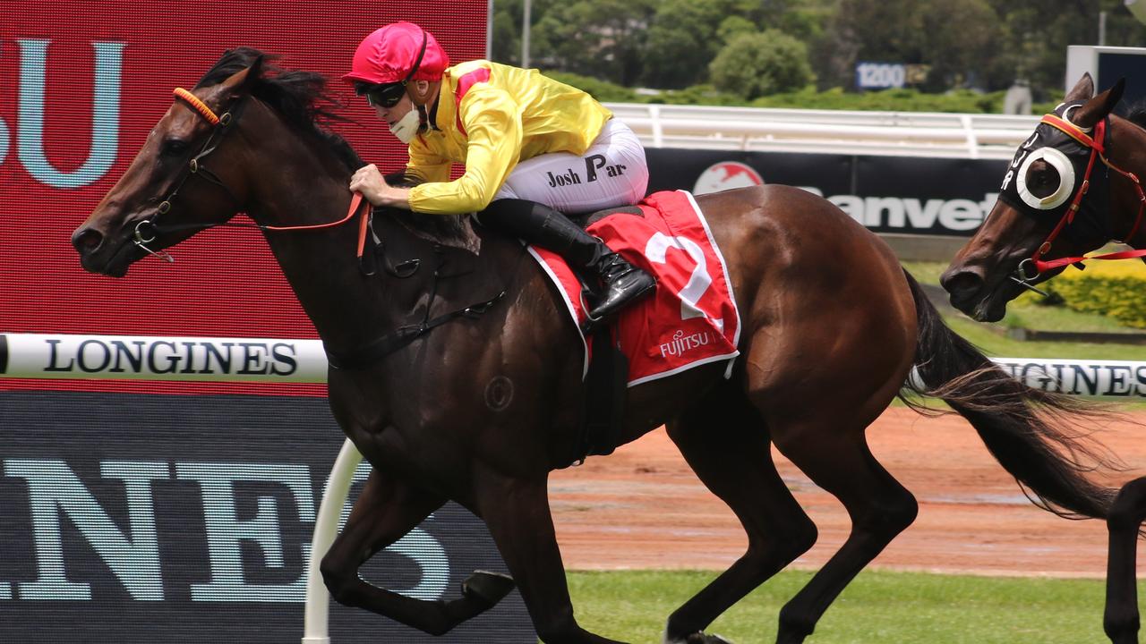 Caesars Palace can qualify for The Big Dance via Wednesday's Coonamble Cup which will be run at Dubbo. Picture: Grant Guy