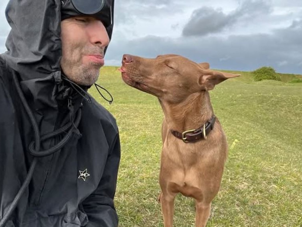 ‘We loved that dog’ … the animal-loving Liam Gallagher on a walk with Buttons, the abandoned dog he adopted from Niall Harbison, in one of the singer’s own Instagram posts.