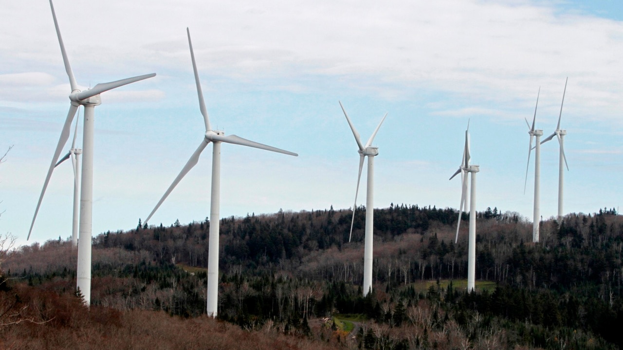 Government trying to ‘force feed’ renewables to Australians: Terry McCrann