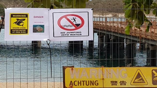 Warning signs erected at the Seisia wharf on Thursday after a child was attacked by a grouper. Picture: MICHAEL NAMOCK