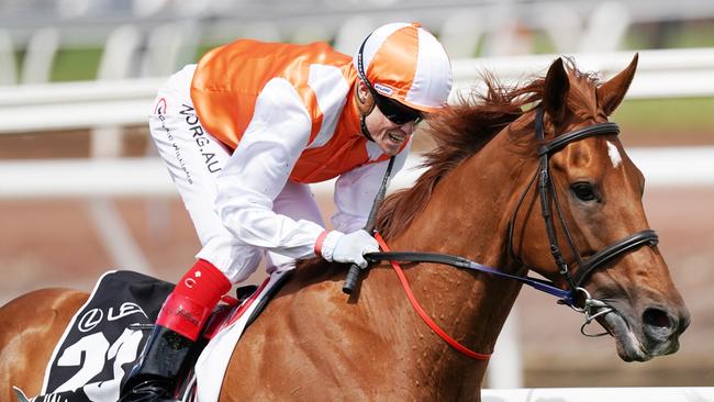 Jockey Craig Williams rides Vow And Declare to victory in the 2019 Melbourne Cup. Picture: AAP