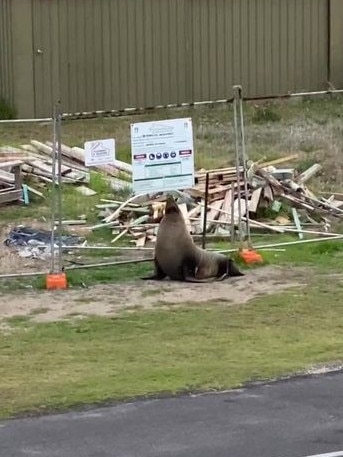 He’s waiting out front before the boss is even there to open up.