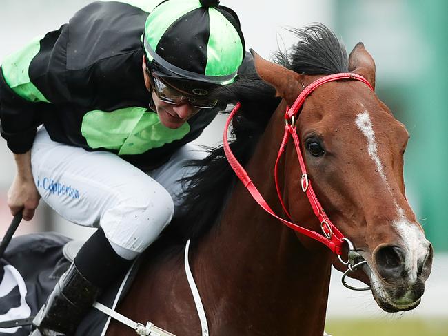 SYDNEY, AUSTRALIA - MAY 23:  Sam Clipperton riding Stockman wins Race 3ÃÂ Sporting Chance Cancer Foundation Handicap during Sydney Racing at Royal Randwick Racecourse on May 23, 2020 in Sydney, Australia. (Photo by Mark Metcalfe/Getty Images)