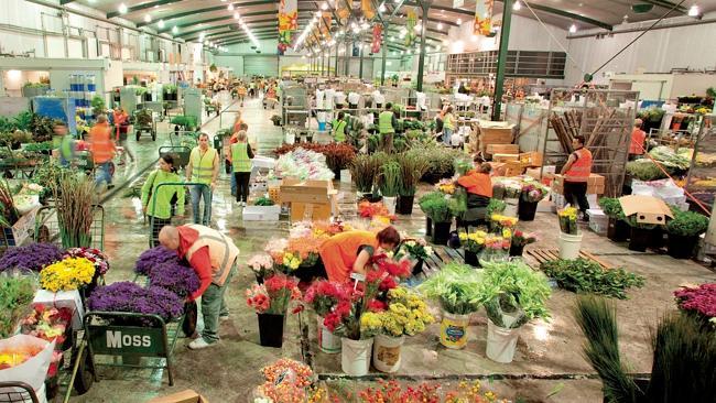 Footscray is home to Melbourne's wholesale fruit, vegetable and flower market. 