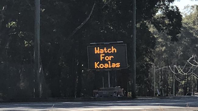 Watch out for koala sign on Captain Cook Drive, Arundel