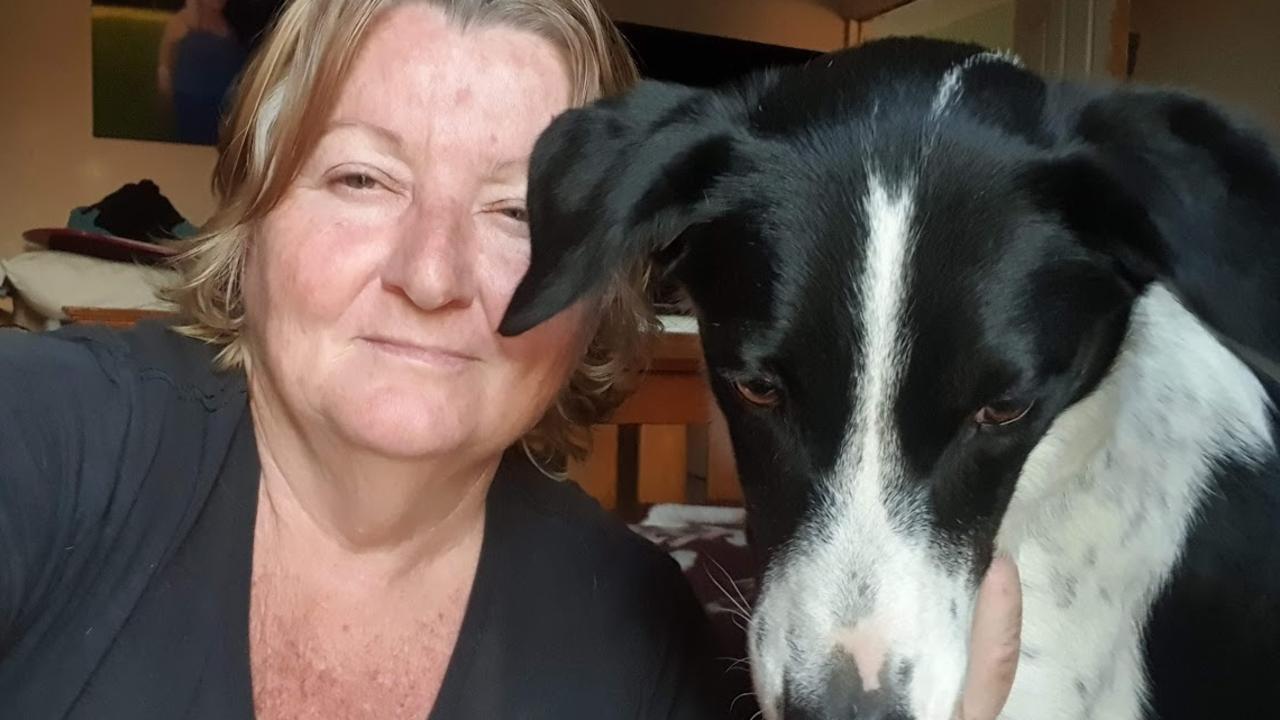 Red Collar Rescue founder Sharyn Banks with Lucky the dog.